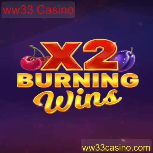 Explorando o Universo do Jogo BurningWinsX2 no ww33 Casino